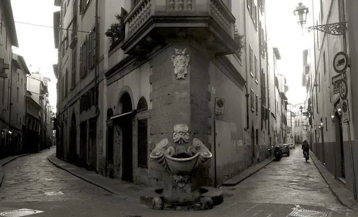 Sprone 13 * Florencie