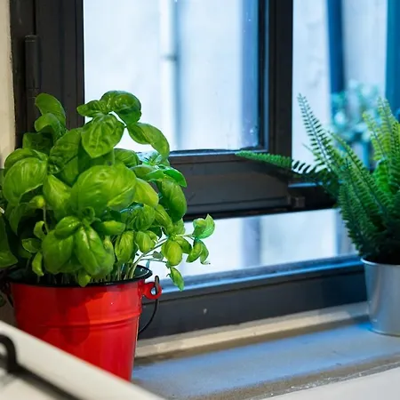 Sprone 13 Apartment